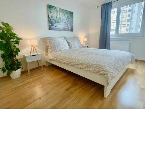 55m2 - Balcony - New