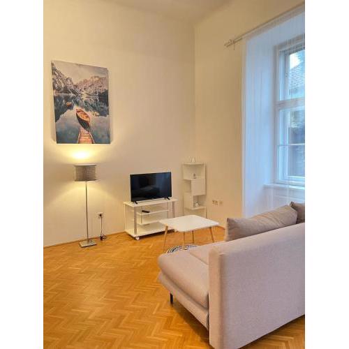 AlPa 2 Zimmer Wohnung in Wien Rochusmarkt