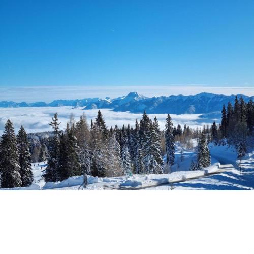 Apartment Seezugang & Ski Ossiacher See by Interhome
