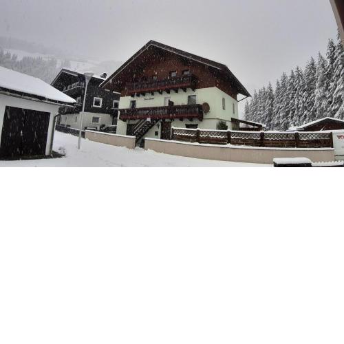 Appartment-Steiner