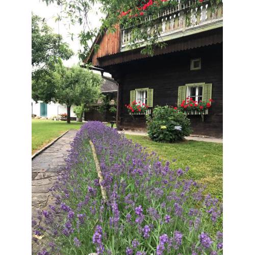 Bauernhaus Süd- West- Steiermark Radfahren in der Weinstraße mit Familie & FreundenInnen