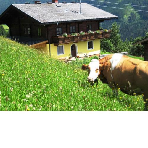 Bio Bauernhof Brandgut