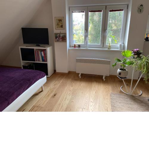 CAVALLINA private room for ladies