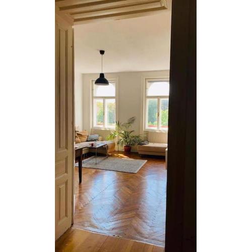 Charming Viennese Appartment