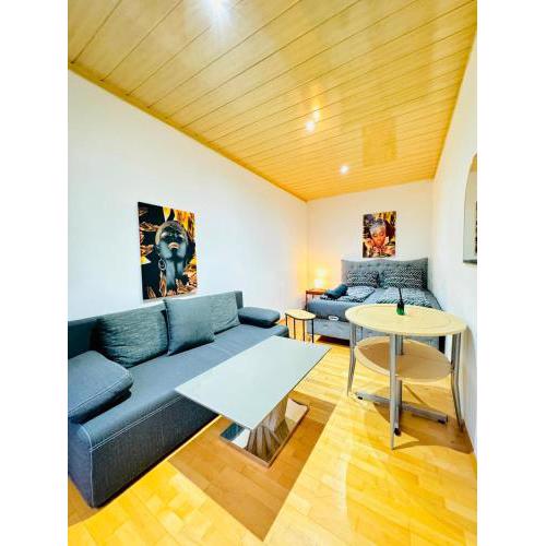Cozy 4BR Apartment for up to 12People, 10Minutes to FAC Platz