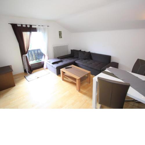 Cozy Apartment in Niedernsill with Garden