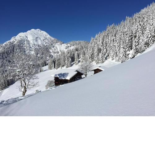 Das Alpbach Juwel