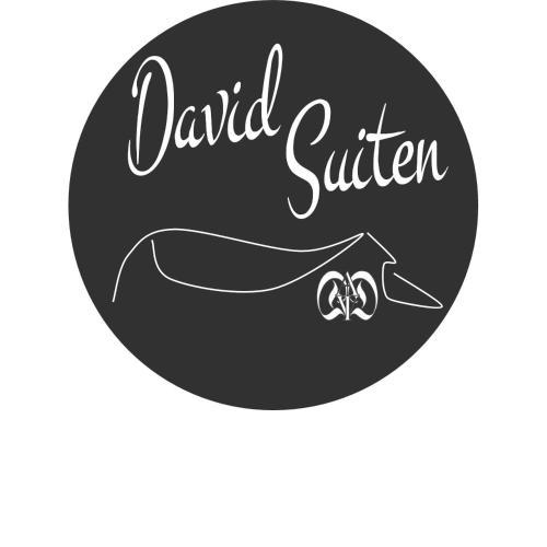 DAVID SUITEN