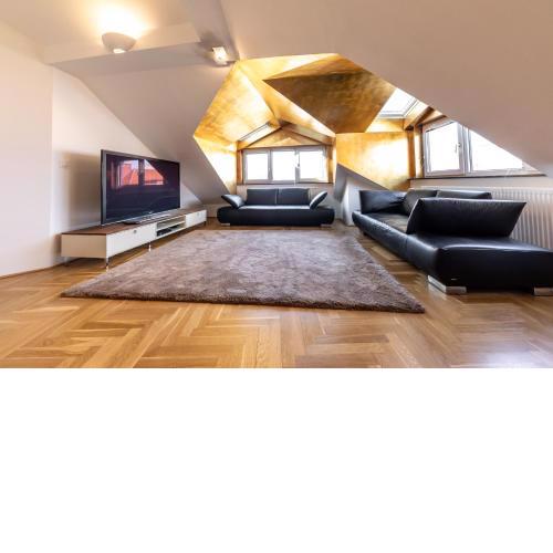 Easy Vienna Penthouse