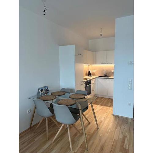Exclusive Brandnew Apartment U3