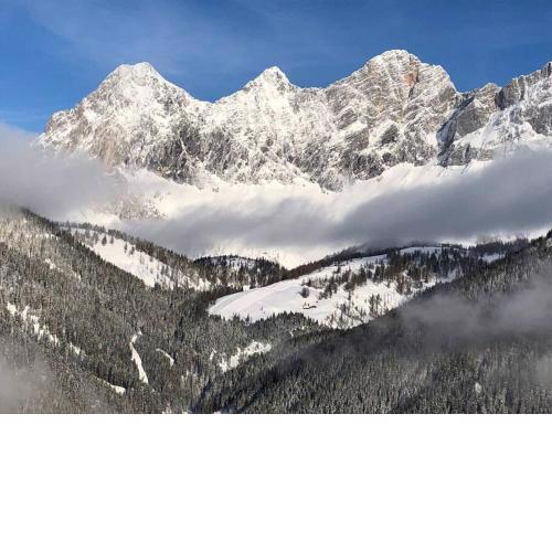 Family Appartment - Dachstein View