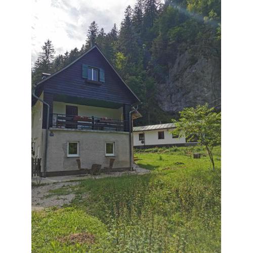 Ferienhaus am Wildbach 1