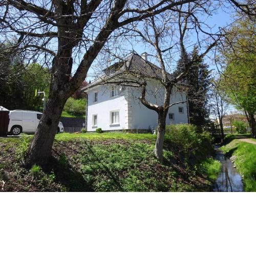 Fritz Apartments "Haus Wulfenia"