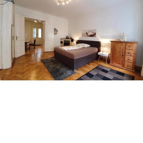 Gorgeous Viennese Apartment 10 min to City Center