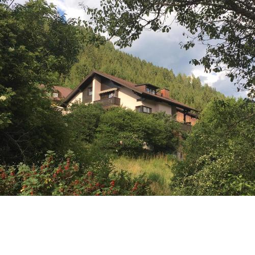 Haus Agnes, Murau