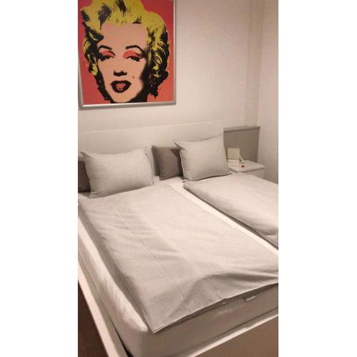 Kleine feine Wohnung Gmunden City