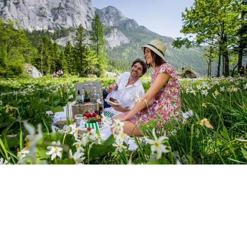 Landhaus Knödl-Alm