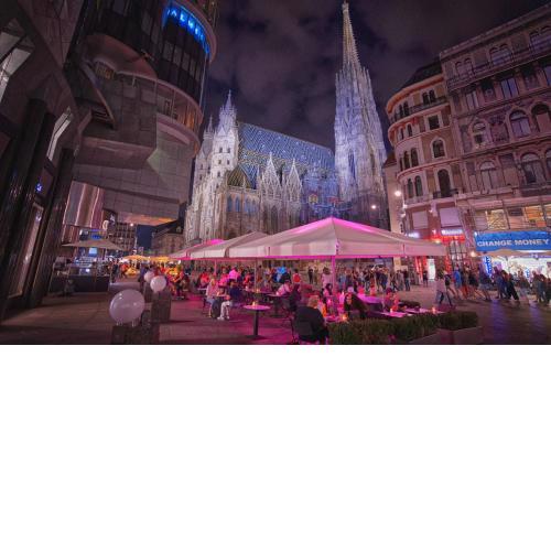 Luxury City Apartment Downtown Vienna