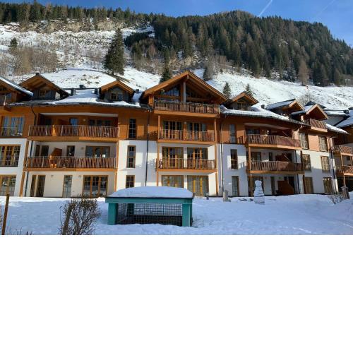 Martina 1 by SMR Rauris Apartments - inc Spa and National Summercard - near Gondola