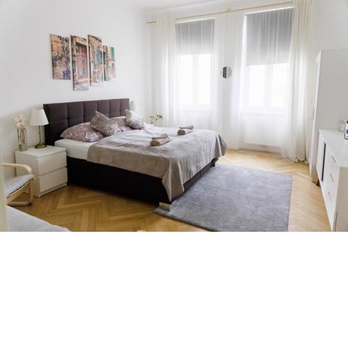 Moonlight apartment with porch near Schönbrunn and Westbahnhof