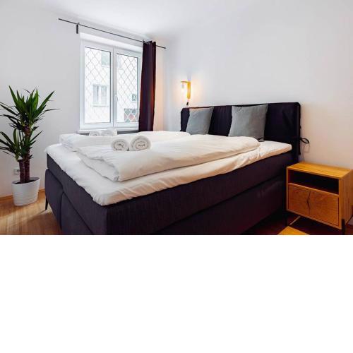 Newley renovated apartment in the city center