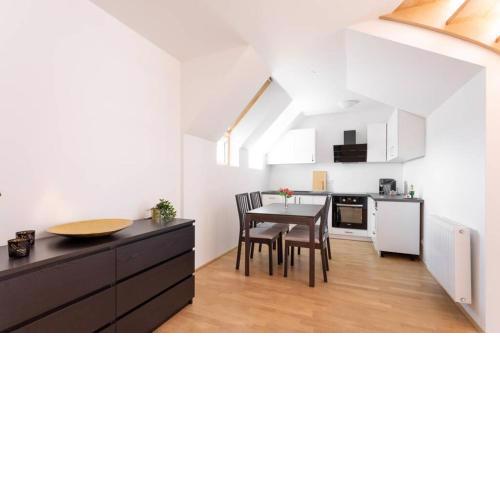 Penthouse near Schoenbrunn with large terrace! N43