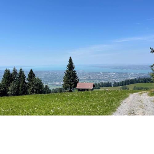 Segula City Apartment - Dornbirn