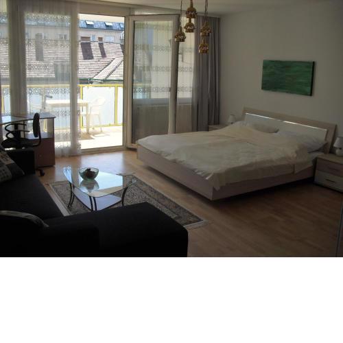 Serviced Apartment with Sunny Balcony