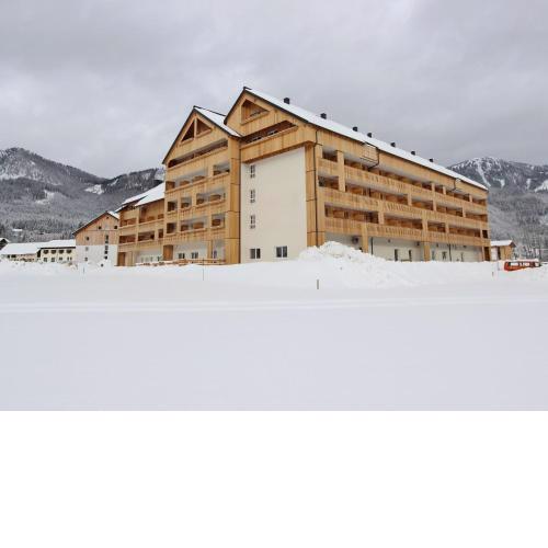 Spacious Apartment in Gosau near Ski Area