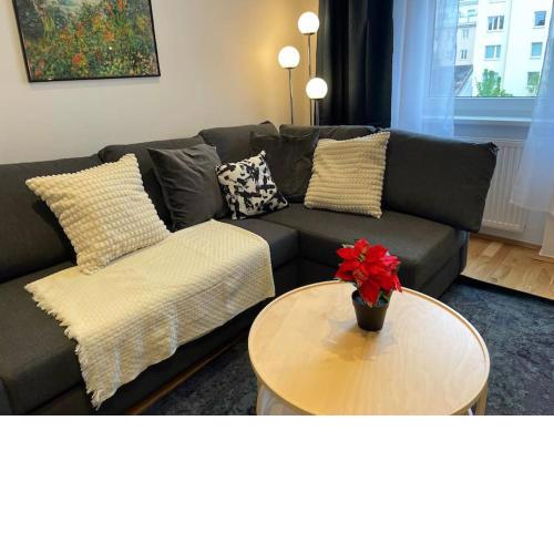 Spacious Apartment near Center