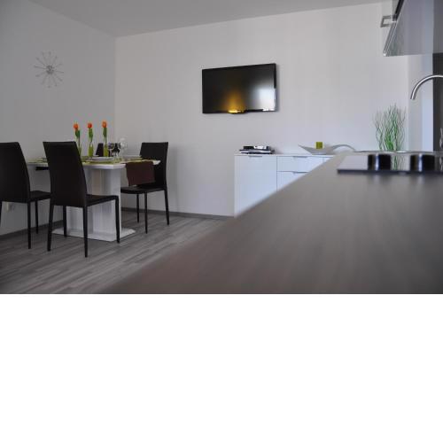 Traditional Apartments Vienna TAV