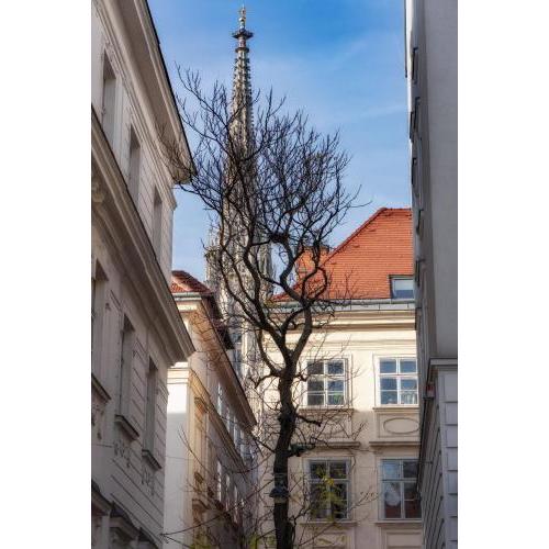 Wohnen hinter dem Dom