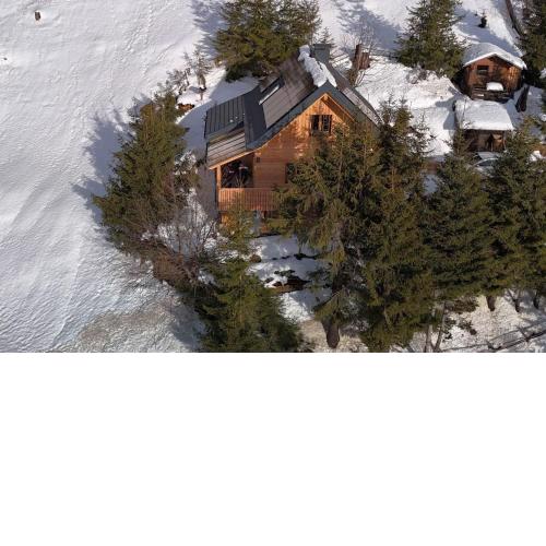 ALMNEST - LACHTAL